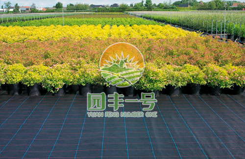新型環(huán)保免耕，拒絕除草劑，不用再為巨額人工除草費用煩惱