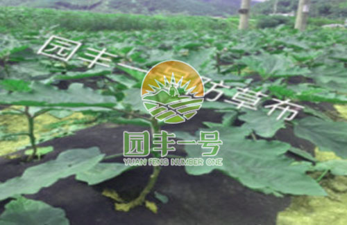 新型環(huán)?？山到夥啦莶嫁r(nóng)業(yè)領(lǐng)域應(yīng)用